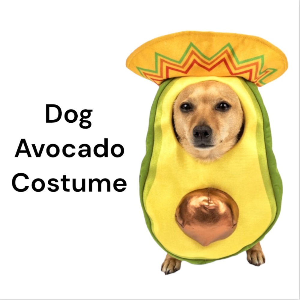 NWT Pet Shoppe Avocado Sombrero Dog Costume Green & Yellow Size: XS/S